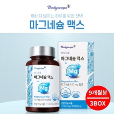 안면 얼굴 손떨림 수전증 종아리 다리 어깨 근육 경련 떨림 방지 이완 기능 개선 에 좋은 마그네슘 magnesium 영양제, 3BOX(9개월분), 1g, 3개