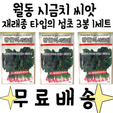 [무료배송]월동시금치씨앗 재래종시금치종자 땅딸이시금치 35g 오스템바이오 3개입 1세트