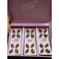 애터미소포라퀸