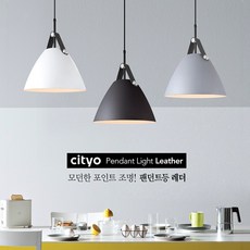 씨티오주방등