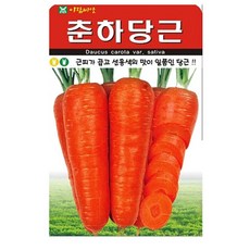 춘하당근 씨앗 당근 씨 종자, 3개