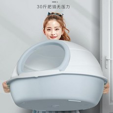 미친화장실