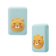 라이언보조배터리10000