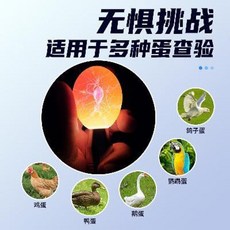 bcbdbf2b6d27704b9e584bdf632a0e8d2d758791445f335dd3ee1f40aa88.jpeg