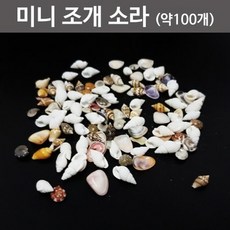 조개자연물
