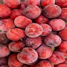 국산 새콤달콤한 프리미엄 자두 특 특대과 2kg 3kg 대석 후무사 국산 추희자두 국산추희자두 대석 후무사 왕자두 도담 추희 국내산후무사자두 국산후무사 대석자두, 1개, (특 프리미엄)3kg
