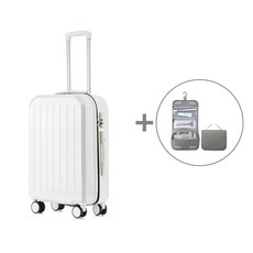 아놀드바시니캐리어