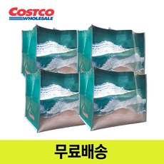 코스트코 푸른바다 장바구니 시장가방 52X29cm 쇼핑백 여행 타포린백