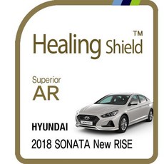 뉴라이즈8인치자출avn