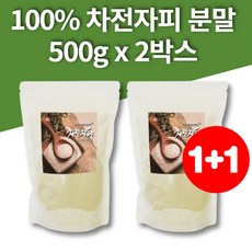 화이버비츠플러스