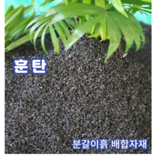 이요독서대l1