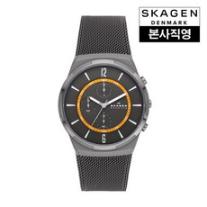 스카겐