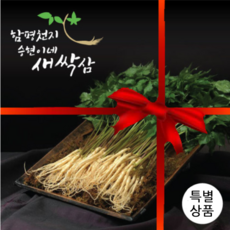 승현이네새싹삼
