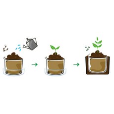 보리 새싹키우기 식물키우기 재배세트 정원 원예도구