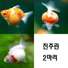 7efb98463a10094dd3e2ded00a57320b471157f4bbc8390d685c8076d3c0.jpg