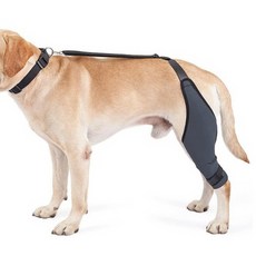  교정 대형견 쓸개골붕대 노견 지지대 탈구예방템 14231EA, XXL 왼발, 블랙 