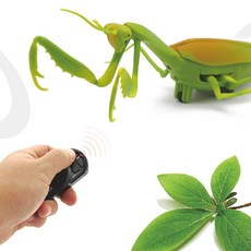 무선조종사마귀