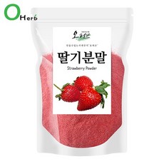 오허브 동결건조 딸기가루 딸기분말 딸기 파우더 100g, 1개