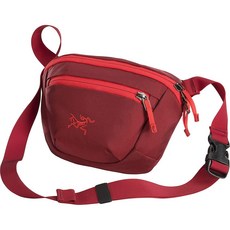 아크테릭스크로스백