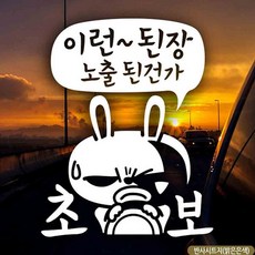 기타 자동차스티커 이런된장노출된건가 초보 화이트 A타입, 기본