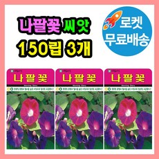 나팔꽃 꽃 씨앗 (합 450립) 꽃씨 종자