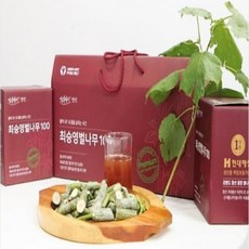 시아버지생신선물 국산 벌나무즙 강원도정선 벌나무액기스, 1박스(100ml * 30포)