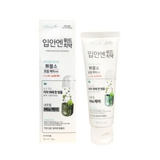 결송입안