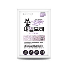 탐사베이직고양이두부모래