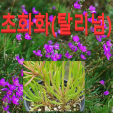 b0a2ac4bff781a3a6c93d1e0bb994c9e67af0eecf292ce3636c1d8a1e268.png