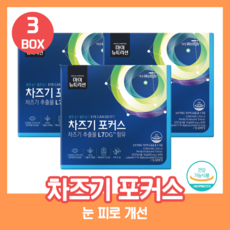 차즈기효능