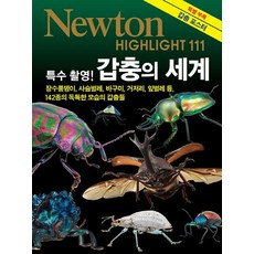 특수촬영 갑충의 세계:장수풍뎅이 사슴벌레 바구미 거저리 잎벌레 등, 아이뉴턴(뉴턴코리아), 편집부 저