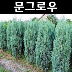 d29b1d139b2a6edd1ed94c3529a15c40168d2fc1bd75e2571b49f19edca4.jpg