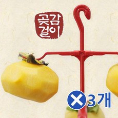 곶감단지.원데이