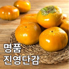 창원단감