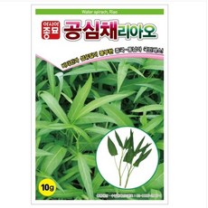 슬로시 쌈채 씨앗 상추 공심채 종자, 공심채리아오10g(아시아)