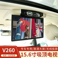카니발천장tv