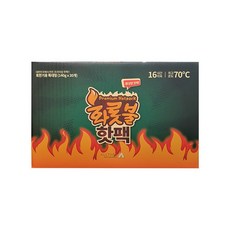 빅마켓 프리미엄 화롯불 대형핫팩 140g x 30입, 단품