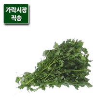처빌