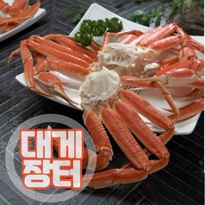 [대게장터] 스노우크랩 3kg 러시아대게 마가단 수입 자숙 냉동 대게 섹션 배달, 3kg-M, 1개