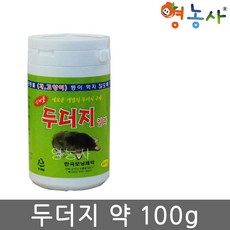 단디맨