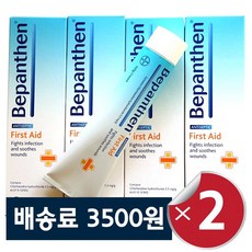 [배송료 3500원] Bepanthen 베판탠 퍼스트에이드 상처크림 안티셉틱 소독크림 100g (2개), 퍼스트에이드 상처연고 100g-2개
