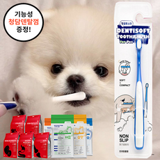 패스룸칫솔
