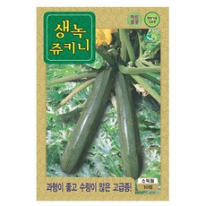 생녹 쥬키니호박 씨앗 호박씨 10립, 1개, 단품