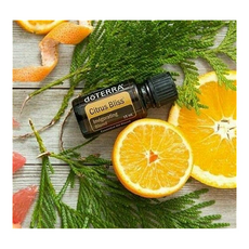 도테라시트러스블리스