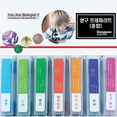 혈액영구프레파라트