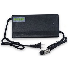 유아전동차인산철배터리