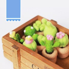 양모펠트선인장