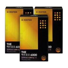 루템 THE 맥주효모 4000, 3개, 90개