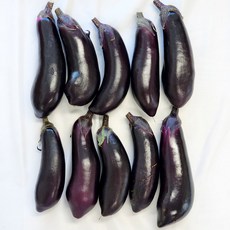 신선한 국내산 못난이 가지 GAP 스마트팜 당일수확, 1개, 1.1kg(10입_못난이가지)
