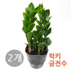 철필름